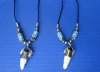 Two Louisiana Alligator Tooth Necklace with 1/2 to 1-1/4 inches Gator Tooth - $6.50 each (Pus $5 postage)
