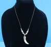 Two Real Alligator Tooth Necklaces with Mexican Flag Colored Beads - $6.50 each (Plus $5 postage)