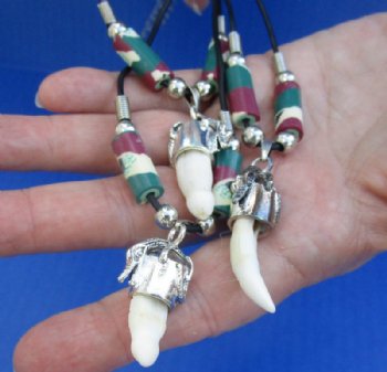 Mexican Flag Alligator Tooth Necklaces <font color=red> Wholesale</font> with 1/2 to 1-1/2 inches Gator Tooth, 20 inches - 24 @ $4.50 each