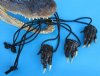 Wholesale Adjustable Alligator Foot Necklaces Strung on Black Leather, Adjusts up to 26 inches - Case of 48 @ $2.00 each 