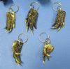 2-1/2 to 3-1/2 inches Preserved Alligator Foot Key Chain, Gator Foot Key Ring - Pack of 3 @ $2.70 each Plus $7.50 1st Class Mail Shipping 
