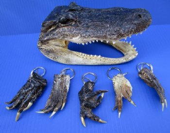  Alligator Foot Key Chains, Rings <font color=red>Wholesale</font>- 50 @ $2.00 each