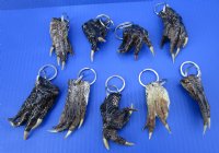  Alligator Foot Key Chains, Rings <font color=red>Wholesale</font>- 50 @ $2.00 each