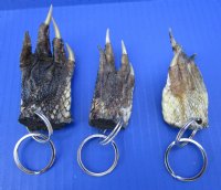  Alligator Foot Key Chains, Rings <font color=red>Wholesale</font>- 50 @ $2.00 each