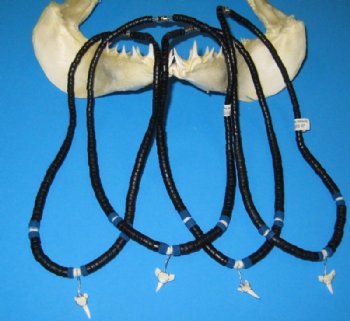 18 inches Black Coconut and Blue Beads Shark Tooth Necklaces - 12 @ $4.30 each