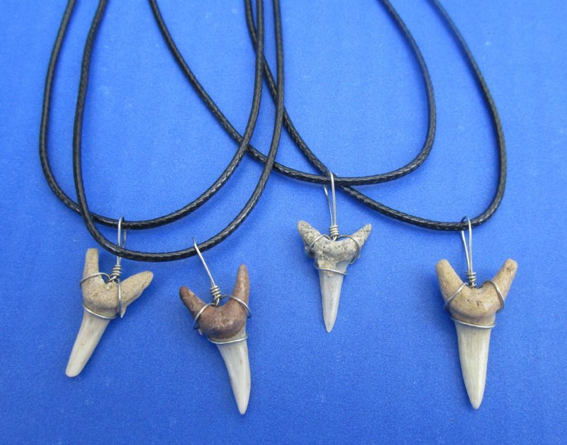 18 inches Wholesale Fossil Shark Tooth Necklaces for Sale in Bulk