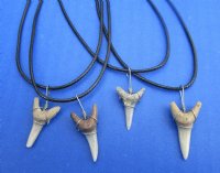 18 inches <font color=red> Wholesale</font> Fossil Shark Tooth Necklaces for Sale in Bulk with 1/2 to 3/4 inch fossil shark's tooth pendants - Pack of 36 @ $2.90 each