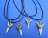 18 inches <font color=red> Wholesale</font> Fossil Shark Tooth Necklaces for Sale in Bulk with 1/2 to 3/4 inch fossil shark's tooth pendants - Pack of 36 @ $2.90 each