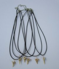 18 inches Fossil Shark Tooth Necklaces with 1/2 to 1 inch Fossil Tooth Pendant -  3 @ $4.00 each; 6 @ $3.50 each (Plus $6.50 1st class ) 