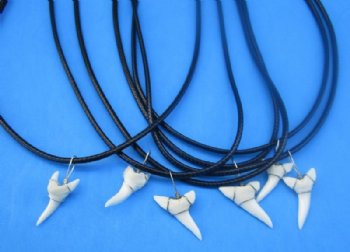 18 inches Shark Tooth Necklace for Sale with a 1/2 to 1 inch White Modern Day Shark Tooth Pendant - 5 @ <font color=red> $3.00</font> each Plus $5.00 Ground Advantge Mail