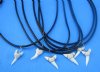 18 inches <font color=red> Wholesale</font> Shark Tooth Necklace with a 1/2 to 1 inch White Shark Tooth Pendant  - Case of 60 @ $1.75 each