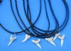 18 inches Shark Tooth Necklaces with a 1/2 to 1 inch Current Day Shark Tooth Pendants <font color=red> Wholesale</font> - 60 @ $1.75 each