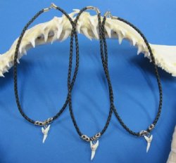 18 inches Black Rope Cord Necklace with Current Day 1-1/8 inches Mako Shark Tooth Pendants <font color=red> Wholesale</font> -  48 @ $3.35 each