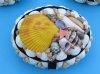 4-1/2 inches long Oval Seashell Box - $6.99 each; 6 @ $5.00 each