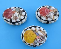 4-1/2 inches long Oval Seashell Box - $6.99 each; 6 @ $5.00 each