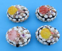 3-1/2 inches long Small Oval Seashell Box - 6 @ $4.00 each