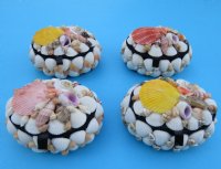 3-1/2 inches long Small Oval Seashell Box - 6 @ $4.00 each