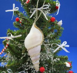 Tibia Shell Ornaments Decorated With Crystal Rhinestones with Gold Hanger  3 to 4 inches -12 @ $1.95 each