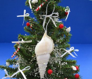 Tibia Shell Ornaments Decorated With Crystal Rhinestones with Silver Hanger  3 to 4 inches -12 @ $1.95 each
