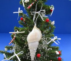 Tibia Shell Ornaments Decorated With Crystal Rhinestones with Silver Hanger  3 to 4 inches -12 @ $1.95 each