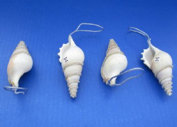 Tibia Shell Ornaments Decorated With Crystal Rhinestones with Silver Hanger  3 to 4 inches -12 @ $1.95 each