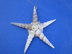 3-1/2 inches Terebra Seashell Star Ornaments - 12 @ $1.45 each