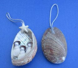 3" Abalone She...