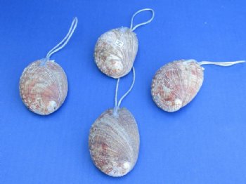 3" Abalone Shell Christmas Tree Ornaments - 10 @ $1.60 each