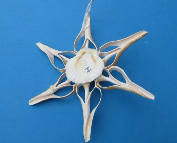 Large Seashell Flower Ornaments Made out of Center Cut Hemifusus Ternatanus Shells <font color=red> Wholesale</font>, 7 by 7 inches - 72 @ $1.25 each