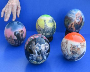 Wholesale African Animals Decoupage Ostrich Eggs  - 2 @ $48 each; 4 @ $43 each
