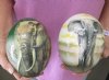 Wholesale 3d Elephant Decoupage Ostrich Eggs for Sale - Case of 3 @ $39.00 each