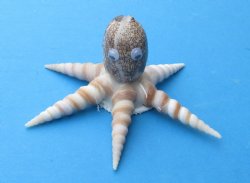 5 inches Seashell Octopus Novelty Made Out of Turritella and Cowry Shells  - 6 @ $2.40 each
