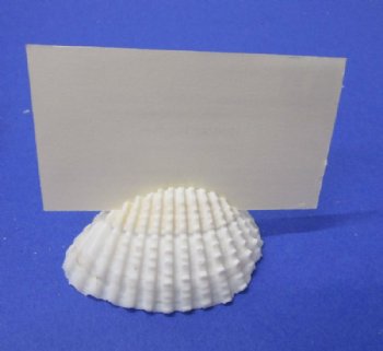 Seashell Beach Party Place Card Holders <font color=red> Wholesale</font> 2-1/4 to 2-3/4 inches - 