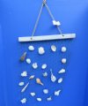 17 by 24 inches Hanging Decorative Fish Net with Natural Small and Medium Seashells - Pack of 4 @ $5.00 each; Pack of 12 @ $3.52 each