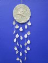 20 inches Sea Glass with Small White Scallop Shells Seashell Wind Chimes in Bulk Pack of 6 @ $3.40 each