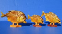 Taxidermy Piranha Fish on Wooden Base (Will have pin holes) 8 inches for $49.50 each