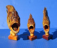 Taxidermy Piranha Fish on Wooden Base (Will have pin holes) 8 inches for $49.50 each