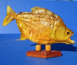 Large Taxidermy Piranha Fish on Wood Base  (Will have some tiny holes in the skin) - $62.99