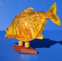 Large Taxidermy Piranha Fish on Wood Base  (Will have some tiny holes in the skin) - $62.99