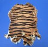 Soft Tanned Tiger Print Rabbit's Fur, Pelt, Skin for Sale - $22.99 each