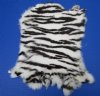 Black and White Zebra Print Rabbit Fur, Pelt, Skin 15 to 17 inches long, 10 to 12 inches wide - $22.99 each