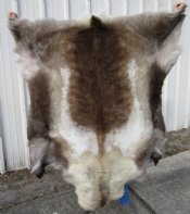 Reindeer Hide, Skins