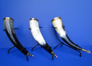 12 to 15 inches Decorative Drinking Horn with Embossed Brass Trim, Gold Finial and Black Rod Iron Horn Stand - $14.99 each