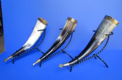 12 to 15 inches Decorative Drinking Horns with Embossed Brass Trim, Gold Finial and Black Metal Stands <font color=red> Wholesale</font> - 12 @ $8.30 each