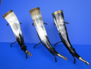 Decorative Drinking Horn with Embossed Brass Trim, and Rod Iron Stands <FONT COLOR=RED> Wholesale</font> (15-18) - 8 @ $13.25 each