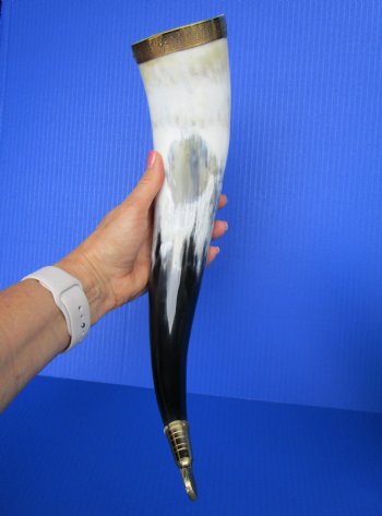 Decorative Drinking Horn with Embossed Brass Trim, and Rod Iron Stands <FONT COLOR=RED> Wholesale</font> (15-18) - 8 @ $13.25 each