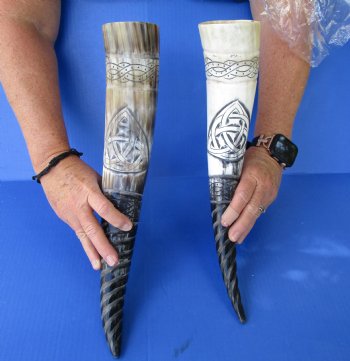 Spiral Carved Buffalo Horns with Carved Dragon and Medallion <font color=red> Wholesale</font> 12 to 15 inches - 8 @ $12.60 each