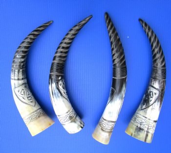 Spiral Carved Buffalo Horns <font color=red> Wholesale</font> with Rope Design and Carved Dragon (15"/18") - 8 @ $16.20 each