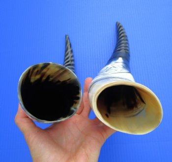 Spiral Carved Buffalo Horns <font color=red> Wholesale</font> with Rope Design and Carved Dragon (15"/18") - 8 @ $16.20 each