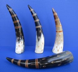 Painted Decorative Horns with Stripes and Circles <font color=red> Wholesale</font> made out of water buffalo horns 10 to 12 inches - 14 @ $6.75 each